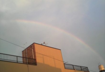 虹を見た。